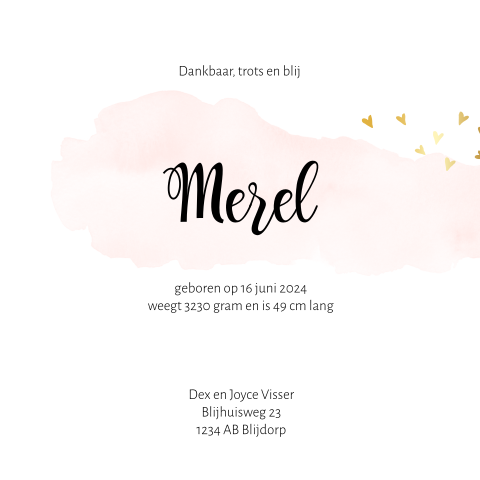 Tekst Geboortekaartje Voor Een Broertje En Zusje Van Blijkaartje