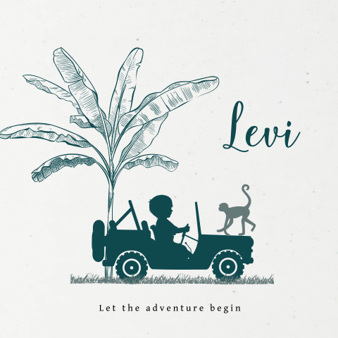 Duurzaam silhouet geboortekaartje jongen in safari jeep