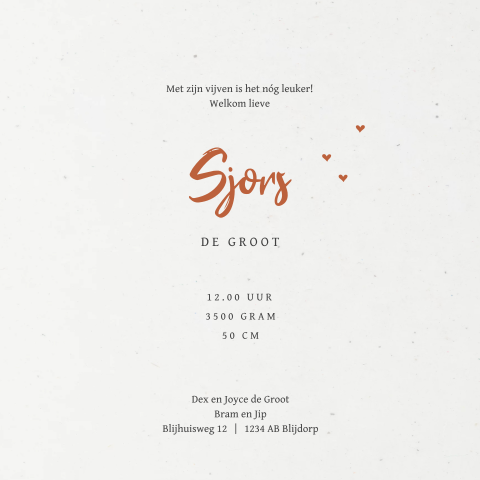 Tekst Geboortekaartje Voor Een Broertje En Zusje Van Blijkaartje