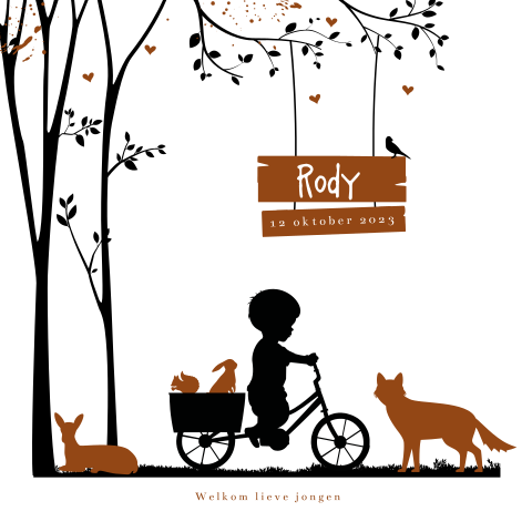 Herfst geboortekaartje jongetje op de fiets in het bos