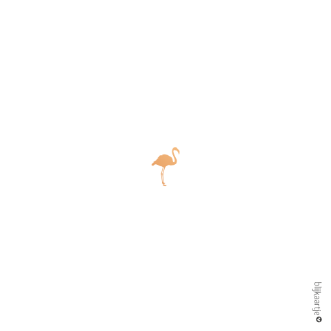 Hip flamingo meisjeskaartje met koperfolie