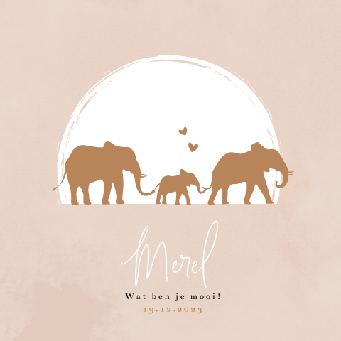Hip meisjes geboortekaartje met lieve olifantjes