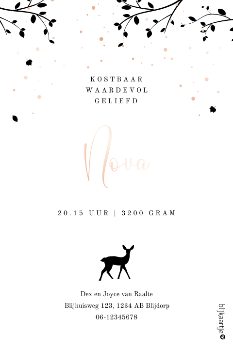 regenlaarsjes meisje