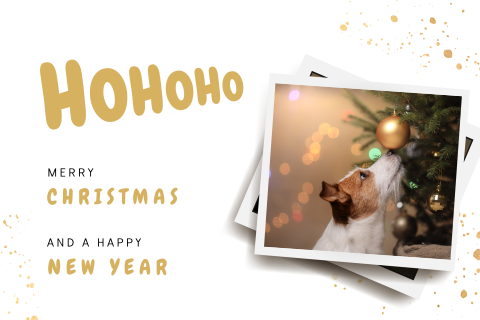 Foto kerstkaart met Ho Ho Ho en gouden spetters