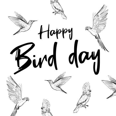 Leuke  'Happy Bird day' verjaardagskaart met vogels