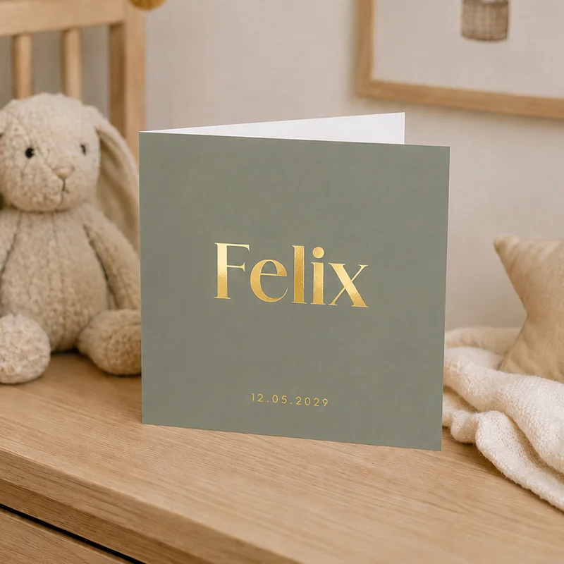 Geboortekaartje Maaike v Houten Felix