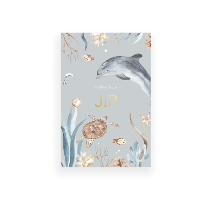 Kijk Naar De Dans Van De Kleur , Want Deze Twee Dolfijnen Bewegen Op Een Levendige Manier Verbluffend Mooi En Kleurrijk Beeld Observeer Image273408316